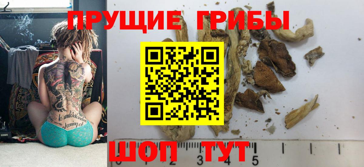 Псилоцибиновые грибы GOLDEN TEACHER Новодвинск