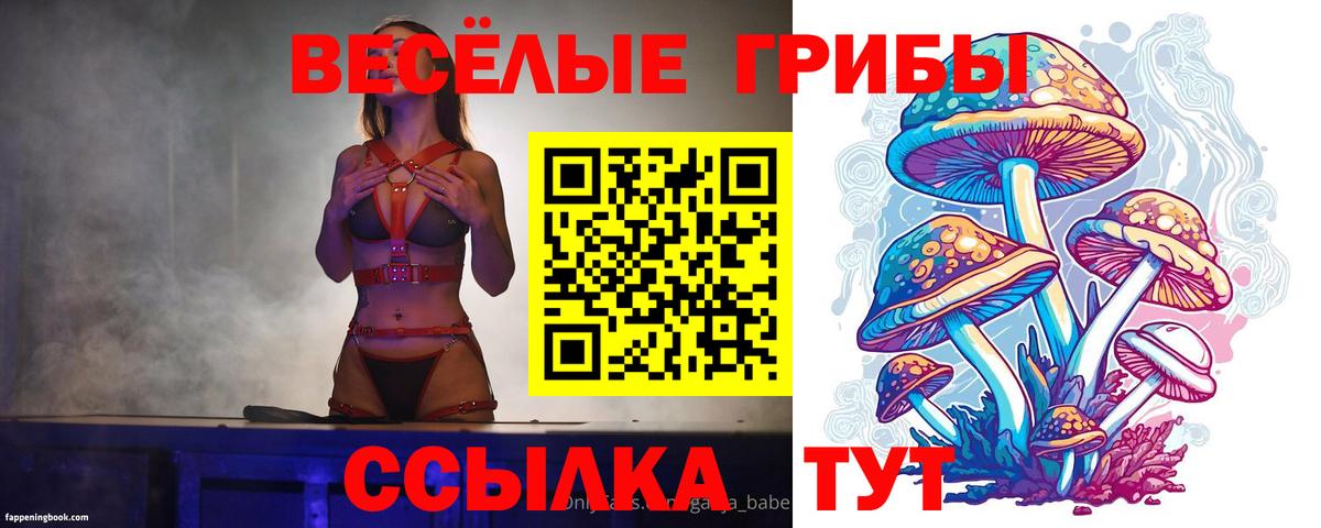 Новодвинск  Псилоцибиновые грибы мицелий  цена   Вход с VPN 